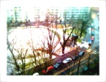 A view of the park in front of my place with tilt-shift applied.