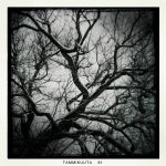 Tree branches look like veins or nerve endings in the sky.