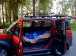 A view of my Honda Element with comforters spread inside.